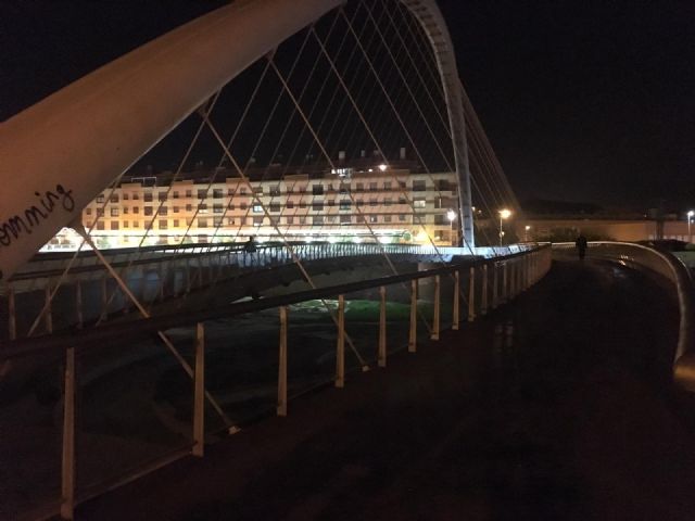 PSOE: El PP desoye día tras día las quejas de los usuarios de la Pasarela Miguel Navarro por su vergonzoso estado de degradación y abandono - 4, Foto 4