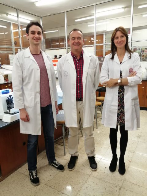 Investigadores de la UMU y del IMIB descubren una proteína esencial para la reproducción - 1, Foto 1