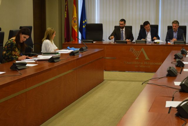 La Asamblea solicita, a instancias del PP, la elaboración de un plan de apoyo a la lectura - 1, Foto 1