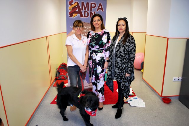 El proyecto R.E.A.D. llega a Murcia de la mano de “Pymes con corazón” - 2, Foto 2