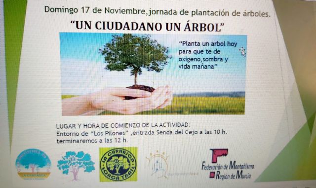 El entorno de Los Pilones acogerá este próximo domingo, 17 de noviembre, una nueva jornada de plantación de árboles - 1, Foto 1
