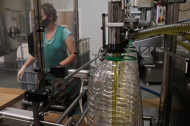 Vega de Pliego cierra una buena campaña de almendra y ya ha abierto su almazara para llevar la oliva - 2, Foto 2