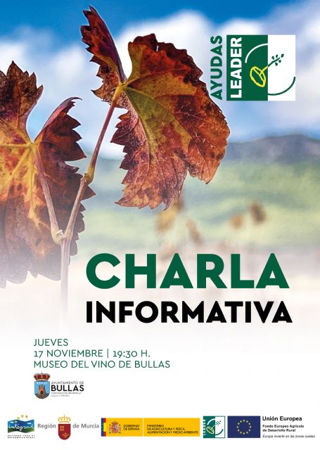 Jornada técnica para dar a conocer las líneas de financiación de las Ayudas LEADER - 1, Foto 1