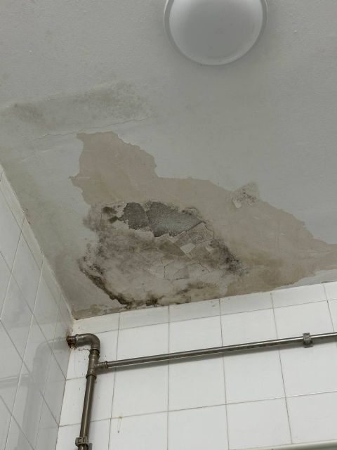 MC: El López Belmonte, símbolo de la desatención del gobierno de Arroyo a las instalaciones deportivas del municipio - 3, Foto 3