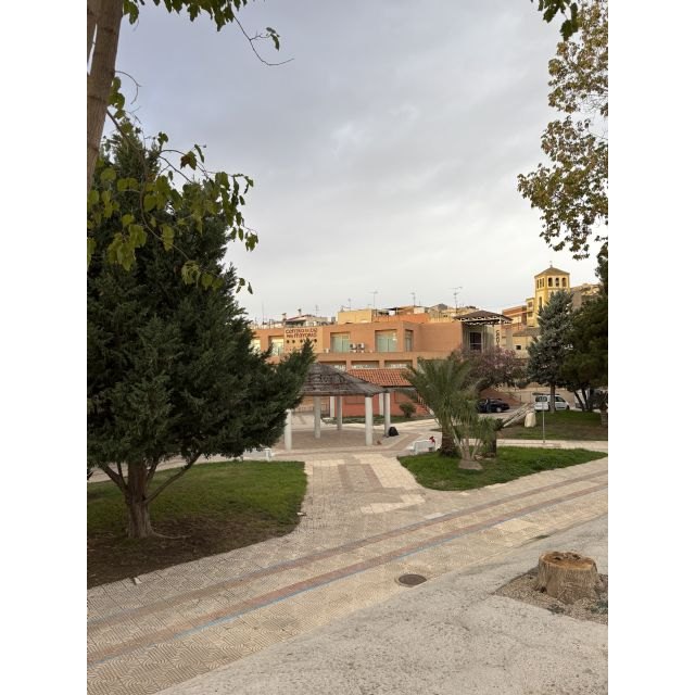 El PSOE lumbrerense exigirá al gobierno regional que reduzca los retrasos en las ayudas a la dependencia - 1, Foto 1