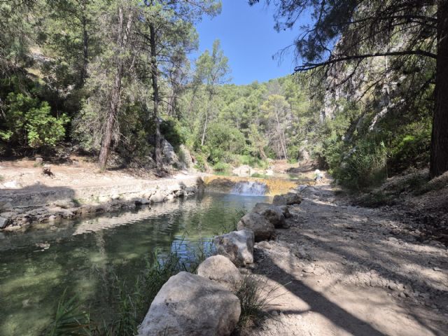 La CHS termina los trabajos de emergencia por la DANA en el río Alhárabe - 2, Foto 2