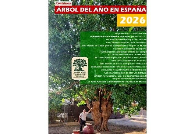 Murcia postula al Abuelo de la Huerta como árbol del año en España 2026 - 1, Foto 1