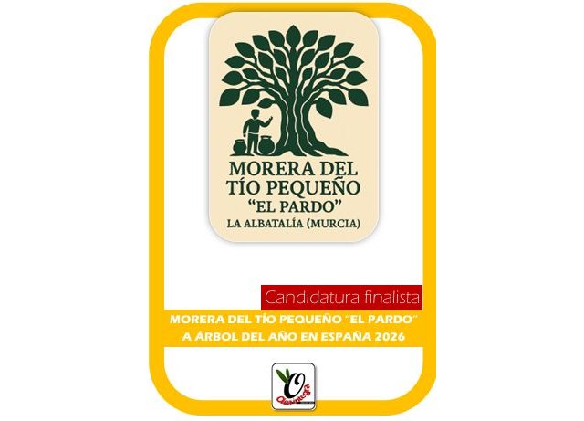 Murcia postula al Abuelo de la Huerta como árbol del año en España 2026 - 2, Foto 2