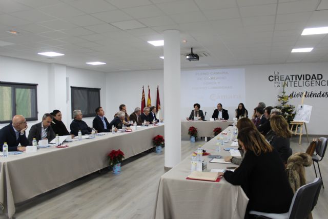 El Pleno de la Cámara de Comercio se reúne en el Vivero de Empresas de Puerto Lumbreras - 1, Foto 1