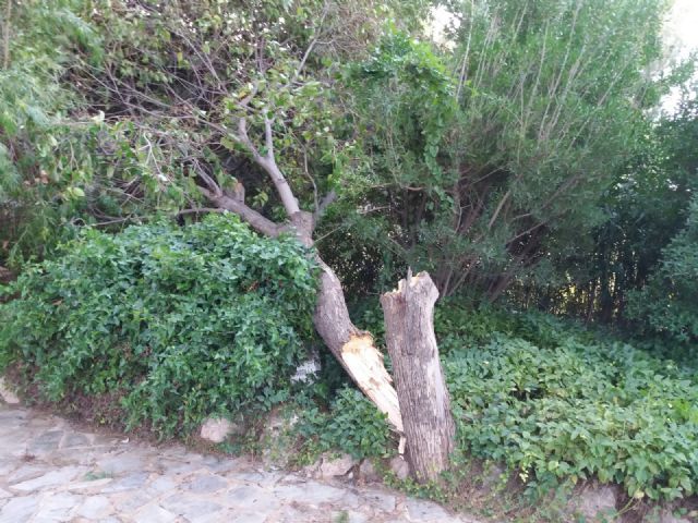 El viento derriba 116 metros de muro del campo de fútbol Antonio Ibáñez - 1, Foto 1