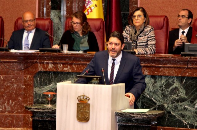 Ciudadanos rechaza las inviables enmiendas a la totalidad de PSOE y Podemos a los presupuestos regionales - 1, Foto 1