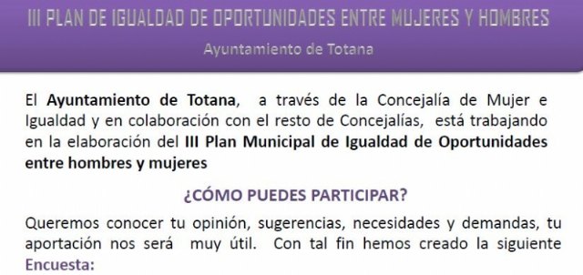 Encuesta III plan de igualdad de oportunidades entre hombres y mujeres del municipio de Totana - 1, Foto 1