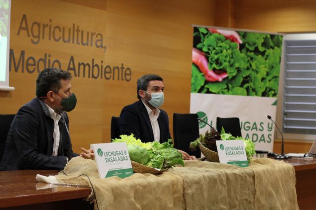 La Comunidad lanza una campaña promocional de las lechugas y ensaladas de la Región para incentivar su consumo - 1, Foto 1