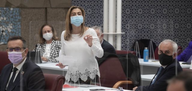 Carmina Fernández: El Gobierno regional es incapaz de resolver los problemas de contaminación de Cartagena, La Unión y Mazarrón - 1, Foto 1