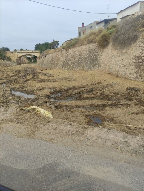 IU Verdes exige que el Ayuntamiento reclame a la CHS lo gastado en la limpieza de la Rambla - 2, Foto 2