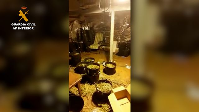 La Guardia Civil desmantela una plantación indoor de cannabis en Águilas - 1, Foto 1