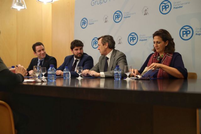 López Miras: El empleo, la bajada de impuestos y las infraestructuras conformarán la Región de Murcia del futuro - 2, Foto 2