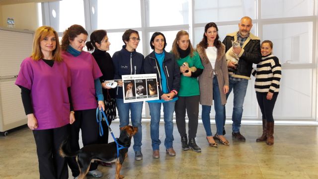 La Concejalía de Sanidad, el Colegio de Veterinarios y las clínicas veterinarias locales completan la campaña de chipado gratuito de 700 mascotas - 1, Foto 1