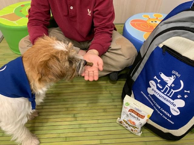 Snacks elaborados en Alicante para el adiestramiento de perros de terapia - 1, Foto 1