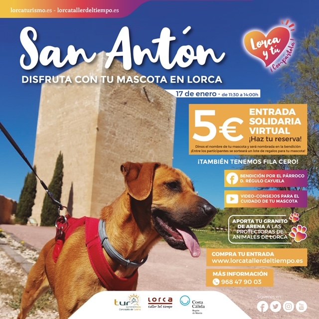 La concejalía de Turismo celebra la festividad de San Antón adaptada a la situación sanitaria actual para que se pueda realizar de forma digital este año - 1, Foto 1