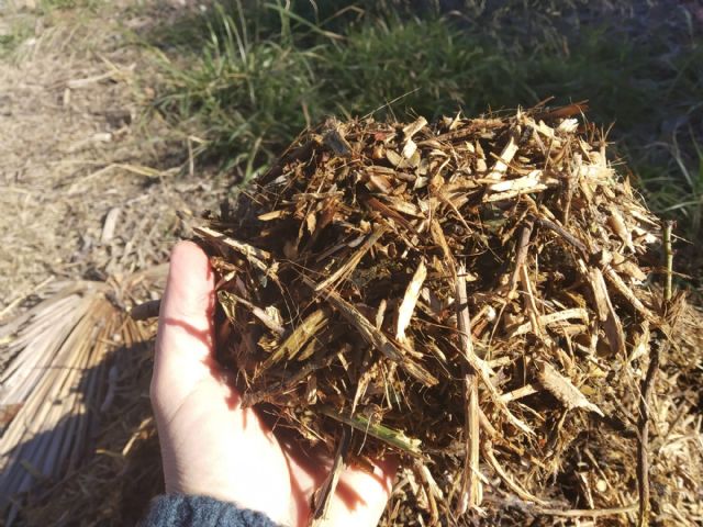 El Ayuntamiento de Molina de Segura pone en marcha un servicio de información para evitar las quemas agrícolas - 1, Foto 1