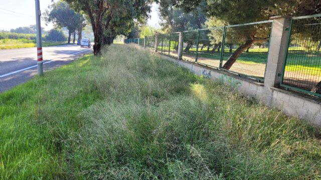 El PSOE denuncia la situación de abandono de las vias peatonales y carril bici entre Santa Ana y el Polígono Residencial - 1, Foto 1