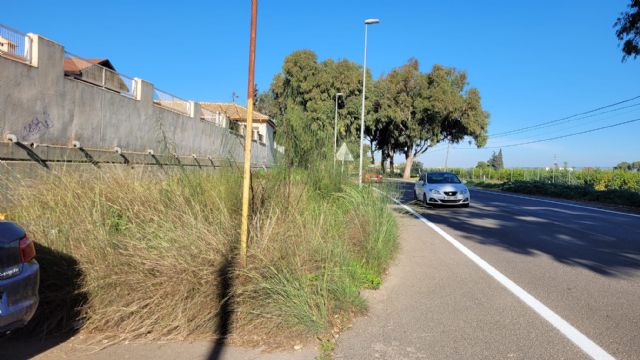 El PSOE denuncia la situación de abandono de las vias peatonales y carril bici entre Santa Ana y el Polígono Residencial - 2, Foto 2