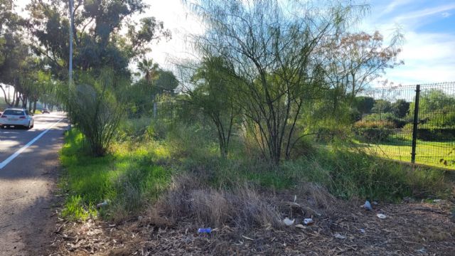 El PSOE denuncia la situación de abandono de las vias peatonales y carril bici entre Santa Ana y el Polígono Residencial - 3, Foto 3