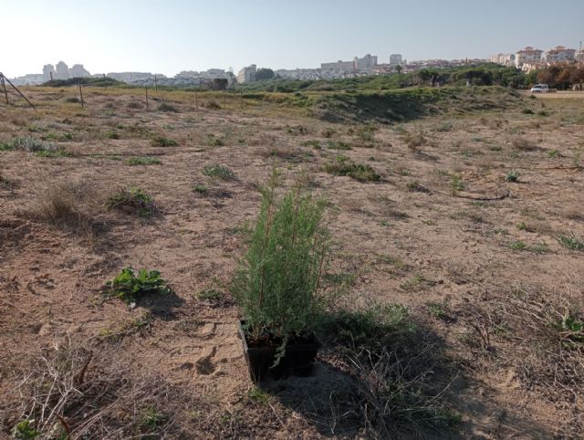Avances en la recuperación del Paraje Natural Municipal Molino del Agua - 3, Foto 3