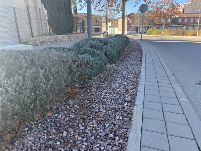 Jardines realiza nuevas mejoras en el Jardín del Arsenal, el Museo del Vino y su entorno - 3, Foto 3