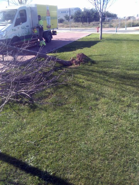 El Ayuntamiento subsana 25 incidencias relacionadas con el viento - 1, Foto 1