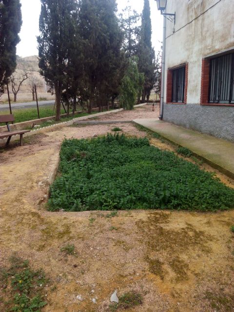 IU-Verdes Lorca pide actuaciones en Campo López, abandonada por el PP - 2, Foto 2