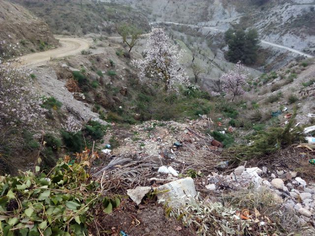 IU-Verdes Lorca pide actuaciones en Campo López, abandonada por el PP - 3, Foto 3