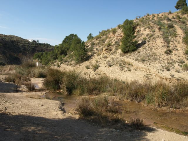 El río Chícamo, un pequeño afluente árido que esconde una gran biodiversidad - 1, Foto 1