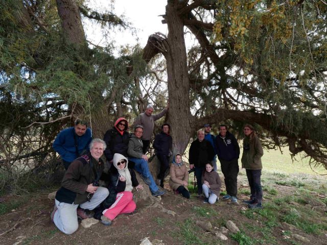 Comienzan en Caravaca las jornadas de conservación del Cernícalo Primilla - 1, Foto 1