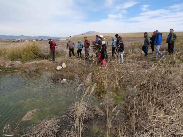 Comienzan en Caravaca las jornadas de conservación del Cernícalo Primilla - 3, Foto 3
