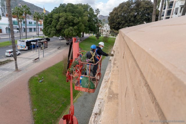 Patrimonio inicia la limpieza y desbroce de la Muralla de Carlos III - 1, Foto 1