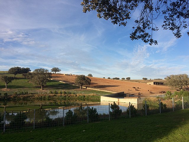 Aprovechamiento de los recursos naturales en la industria cárnica - 1, Foto 1