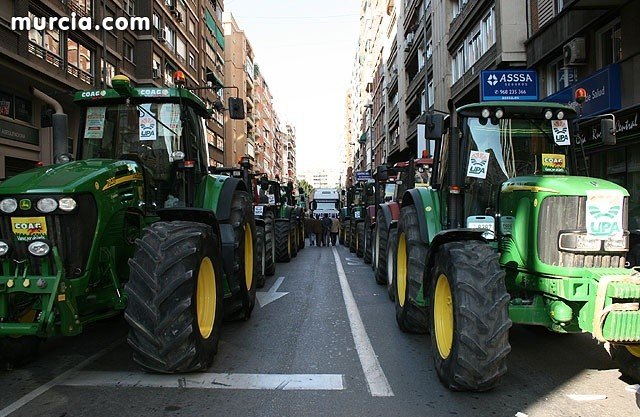 El sector agrario murciano reclamará mañana en las calle de Murcia futuro y respeto para el campo, Foto 2