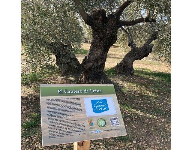 Cantero de Letur apadrina un olivo solidario junto con Obama, George Clooney yel Papa - 1, Foto 1