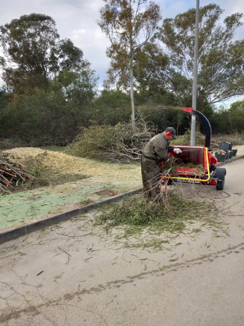 La Brigada Ecológica-Forestal Municipal contratada en el marco del proyecto Anillo Verde Transformador de Molina de Segura finaliza el año 2024 con la recogida de más de 5.000 kg de residuos y la eliminación de 12 hectáreas de plantas invasoras - 2, Foto 2