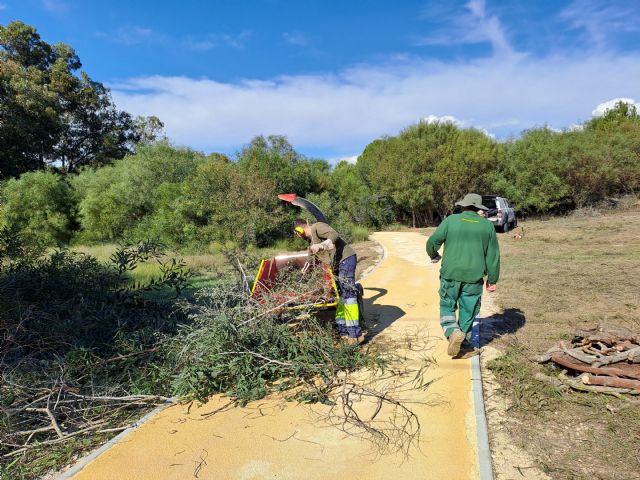 La Brigada Ecológica-Forestal Municipal contratada en el marco del proyecto Anillo Verde Transformador de Molina de Segura finaliza el año 2024 con la recogida de más de 5.000 kg de residuos y la eliminación de 12 hectáreas de plantas invasoras - 3, Foto 3