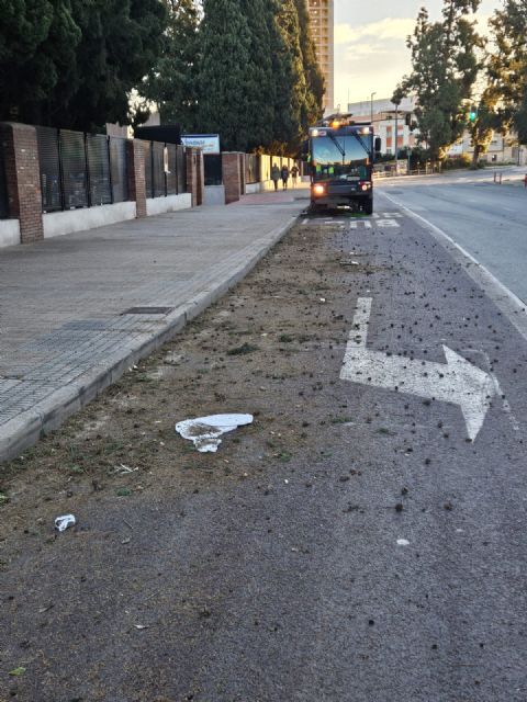 El Ayuntamiento de Murcia mantiene activo un dispositivo especial este domingo para borrar las huellas del temporal de viento - 3, Foto 3