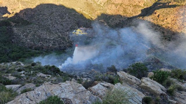 Efectivos del Plan Infomur consiguen estabilizar en un plazo de 12 horas el incendio declarado en Cabo Ti&ntilde;oso - 2, Foto 2
