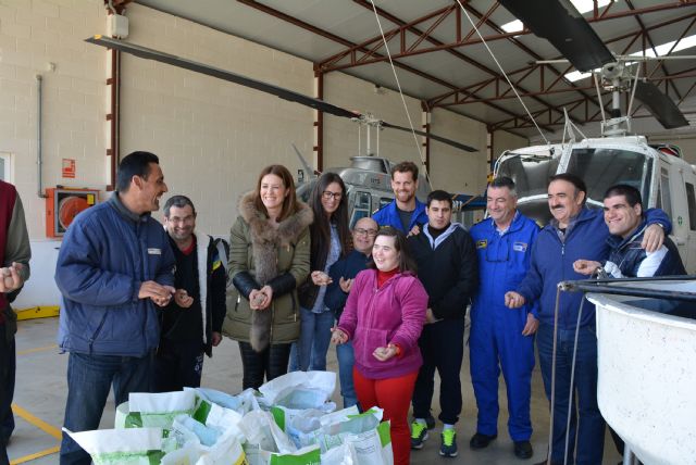 8.000 bombas de semillas serán lanzadas desde el aire en la sierra de Pinilla - 1, Foto 1