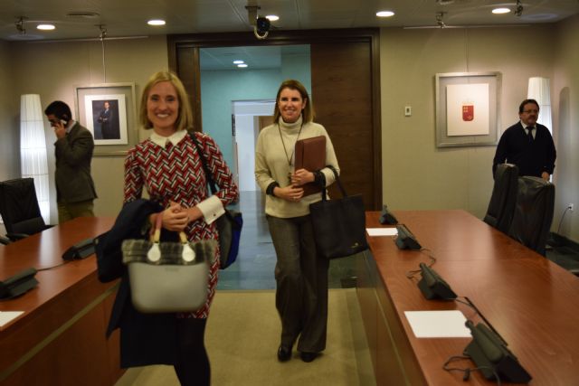 Mónica Meroño: El Plan Energético es una herramienta eficaz en la lucha contra el cambio climático - 1, Foto 1