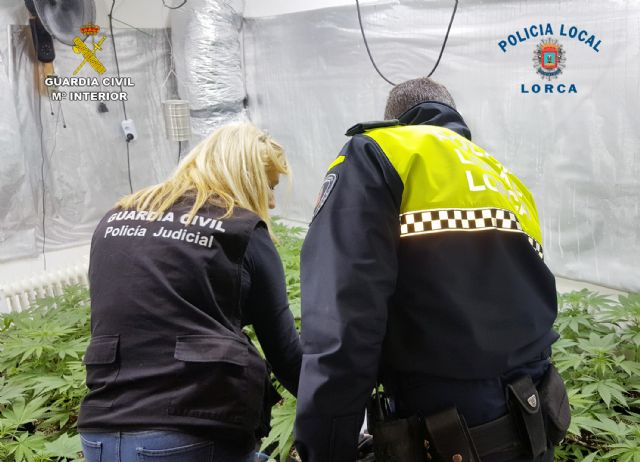 Desmantelan un sofisticado invernadero de cultivo de marihuana en una casa de campo de El Garrobillo-Lorca - 1, Foto 1