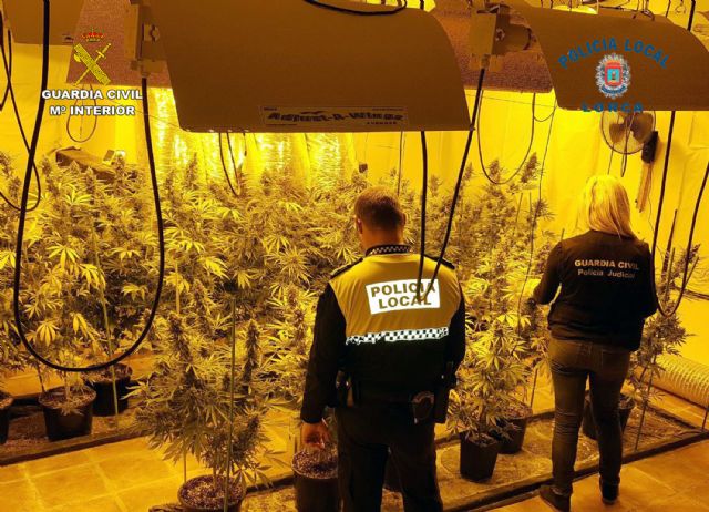 Desmantelan un sofisticado invernadero de cultivo de marihuana en una casa de campo de El Garrobillo-Lorca - 3, Foto 3