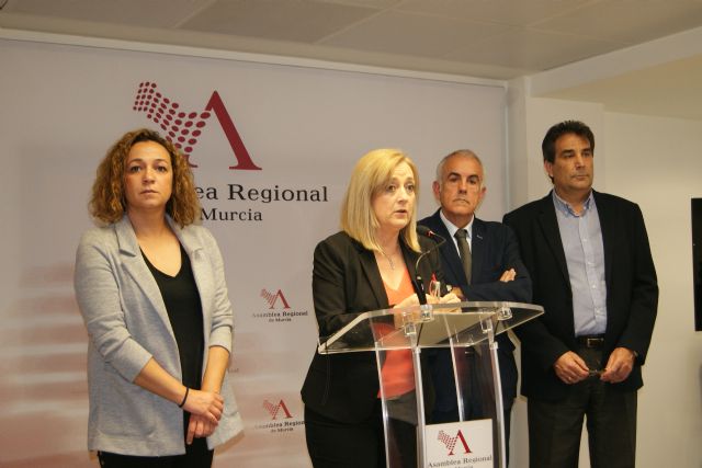 El PSOE cree que la Ley de profesiones del deporte es muy  necesaria, porque cubre el vacío legal existente por la dejadez del Gobierno de España - 2, Foto 2