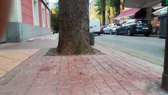 La asociación de vecinos de Vistabella reclama una solución al problema de las palomas - 2, Foto 2